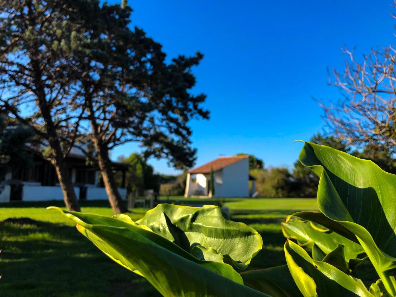 Hotel Mas Le Sauvageon Saintes-Maries-de-la-Mer Exteriér fotografie